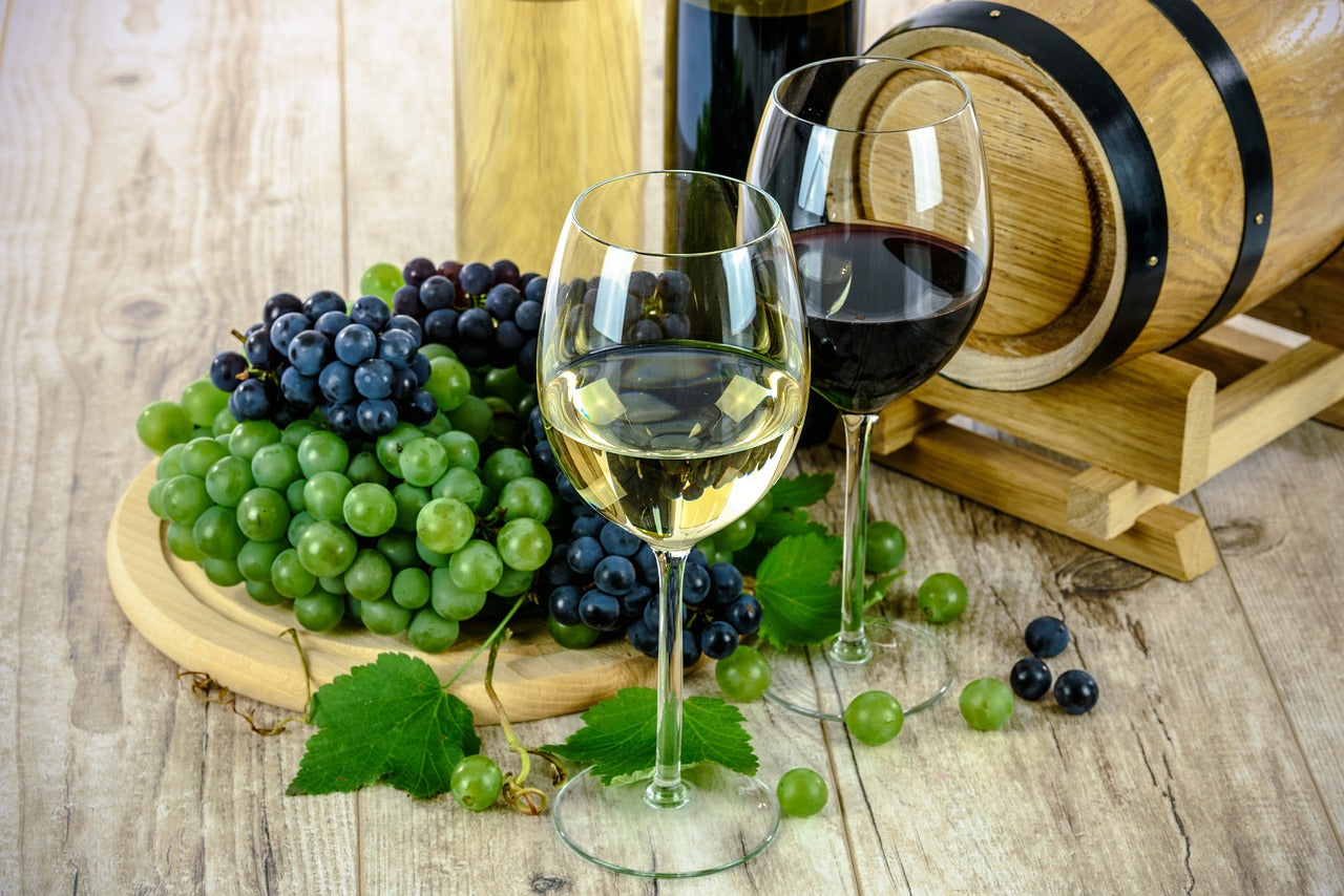 To vinglas med rød og hvid vin foran en vintønde og friske vindruer.