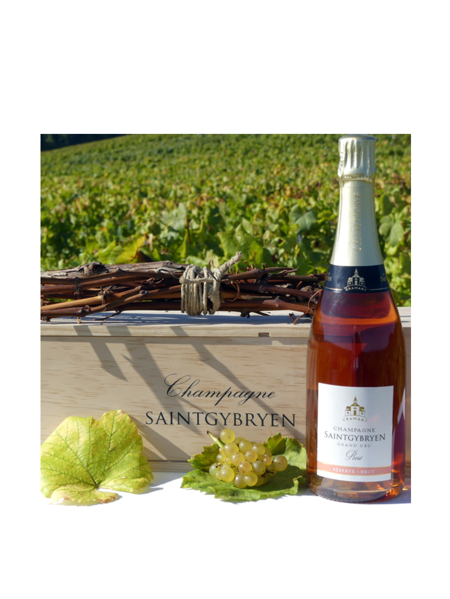 Reserve Rose